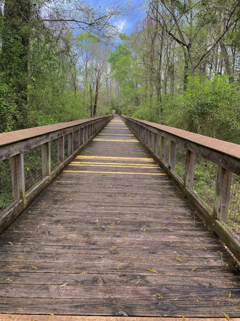 PHOTO.foot bridge